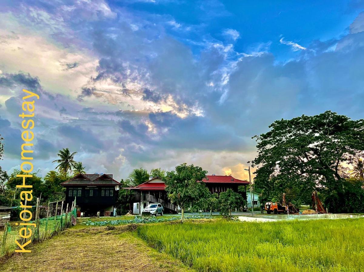 Wisma tamu Kejora Kangar